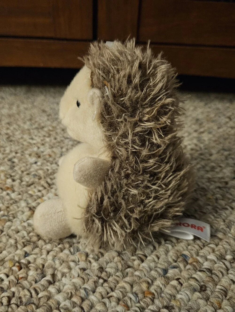 Aurora Palm Palms Hedgie Hedgehog